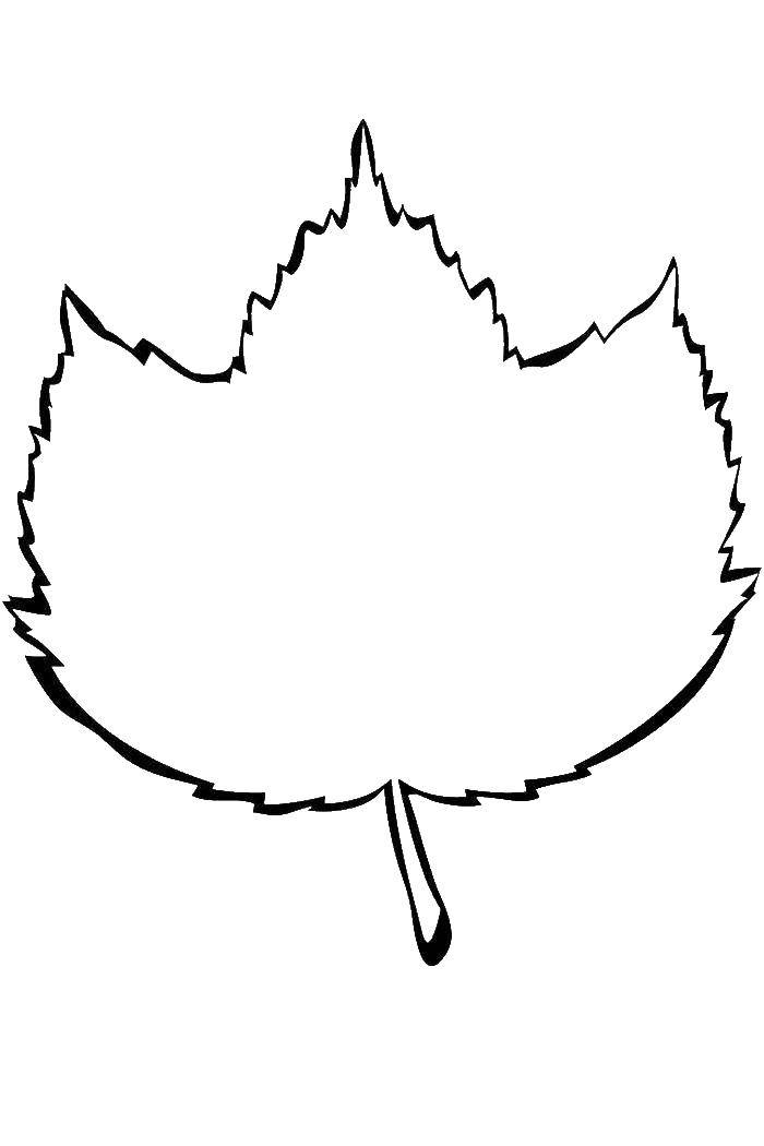 Название: Раскраска Контур листка. Категория: Контуры листьев. Теги: Контур, лист.