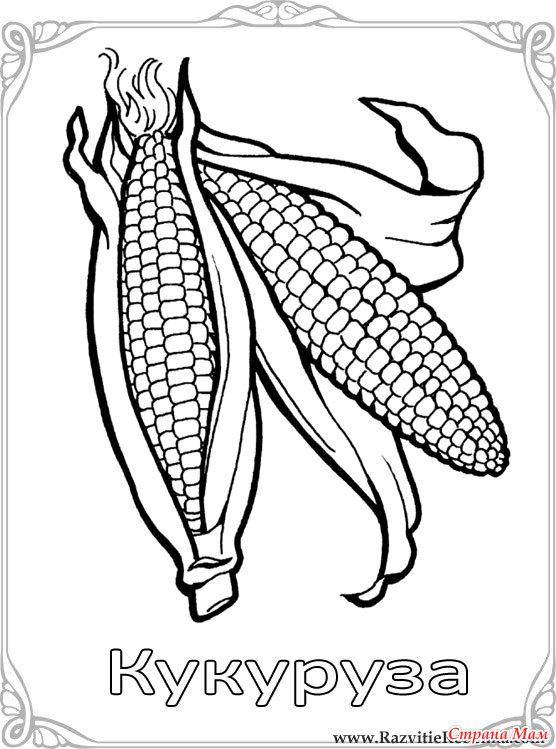 Coloring Corn. Category vegetables. Tags:  corn.