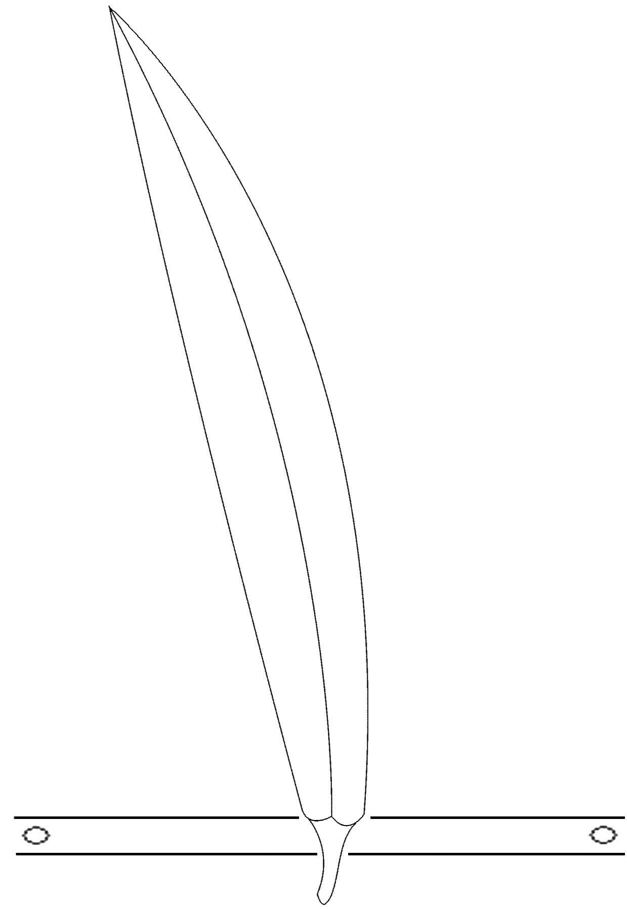 Coloring Sheet. Category The contours of the leaves. Tags:  leaves.