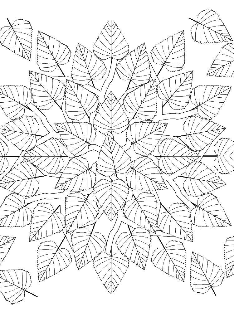 Coloring Many leaves. Category The contours of the leaves. Tags:  leaves.
