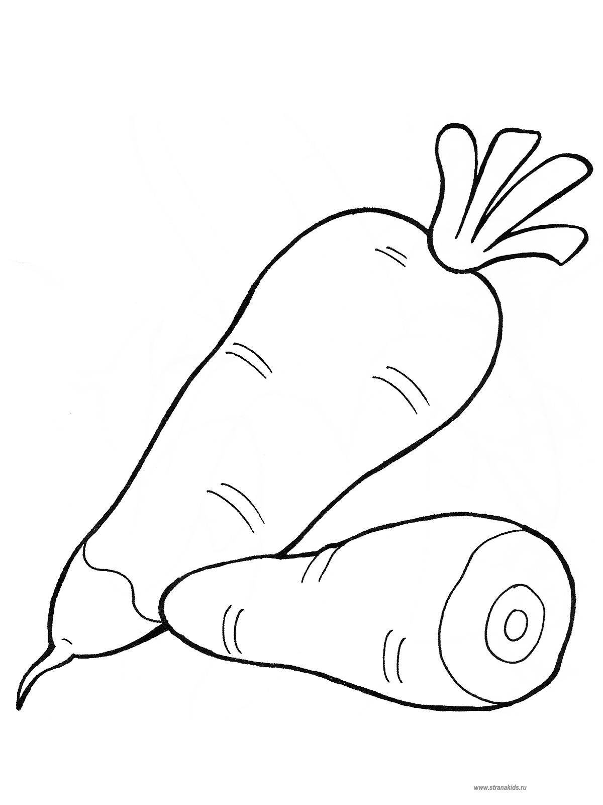 Coloring Carrot. Category vegetables. Tags:  carrot.