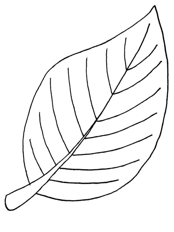 Coloring A leaf fell from the tree. Category leaves. Tags:  Leaves, tree.