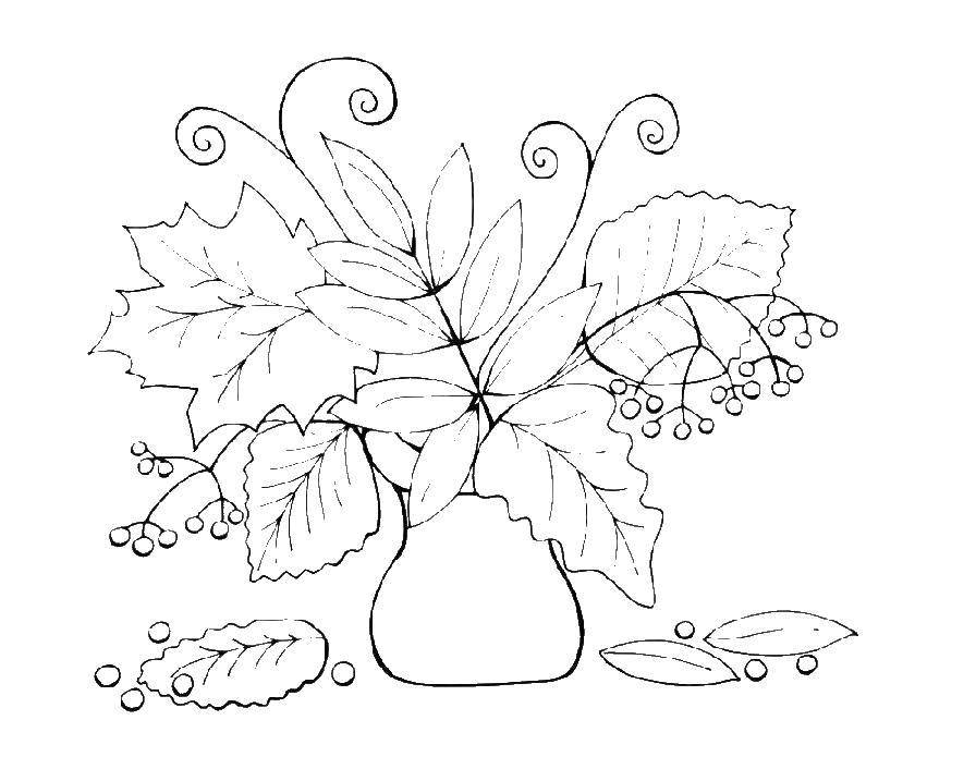 Название: Раскраска Ваза осенних листьев и рябины. Категория: листья. Теги: Листья, ваза.