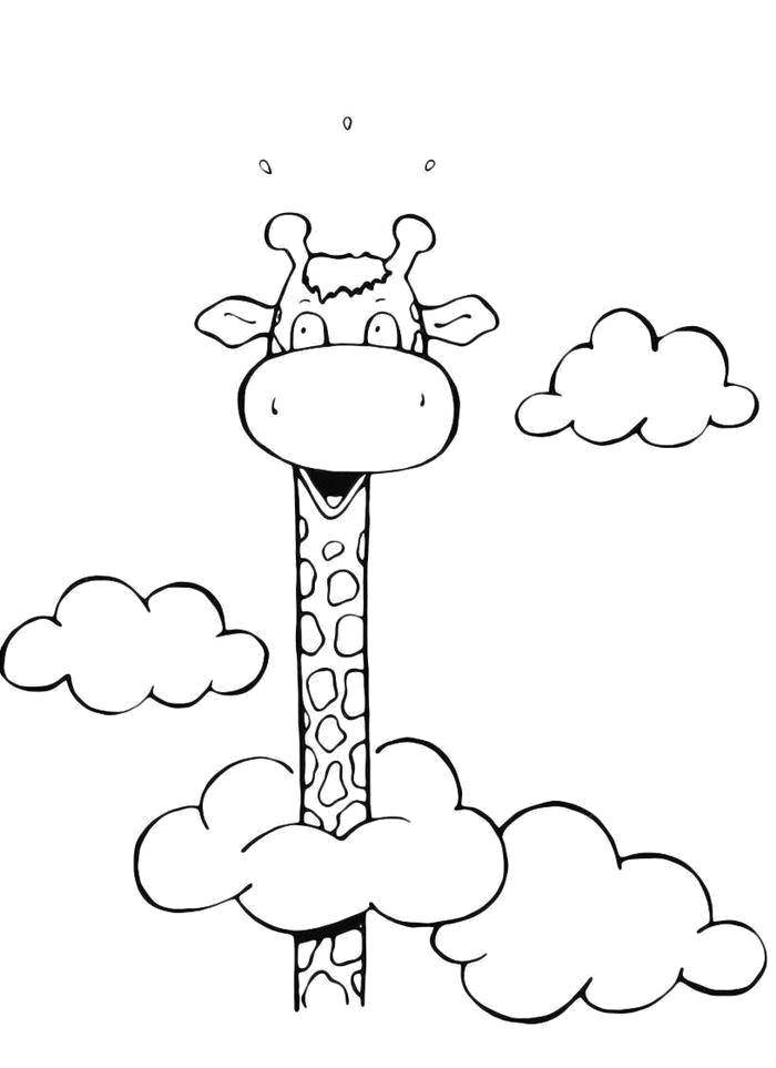 Coloring High giraffe in the clouds. Category little ones. Tags:  Animals, giraffe.