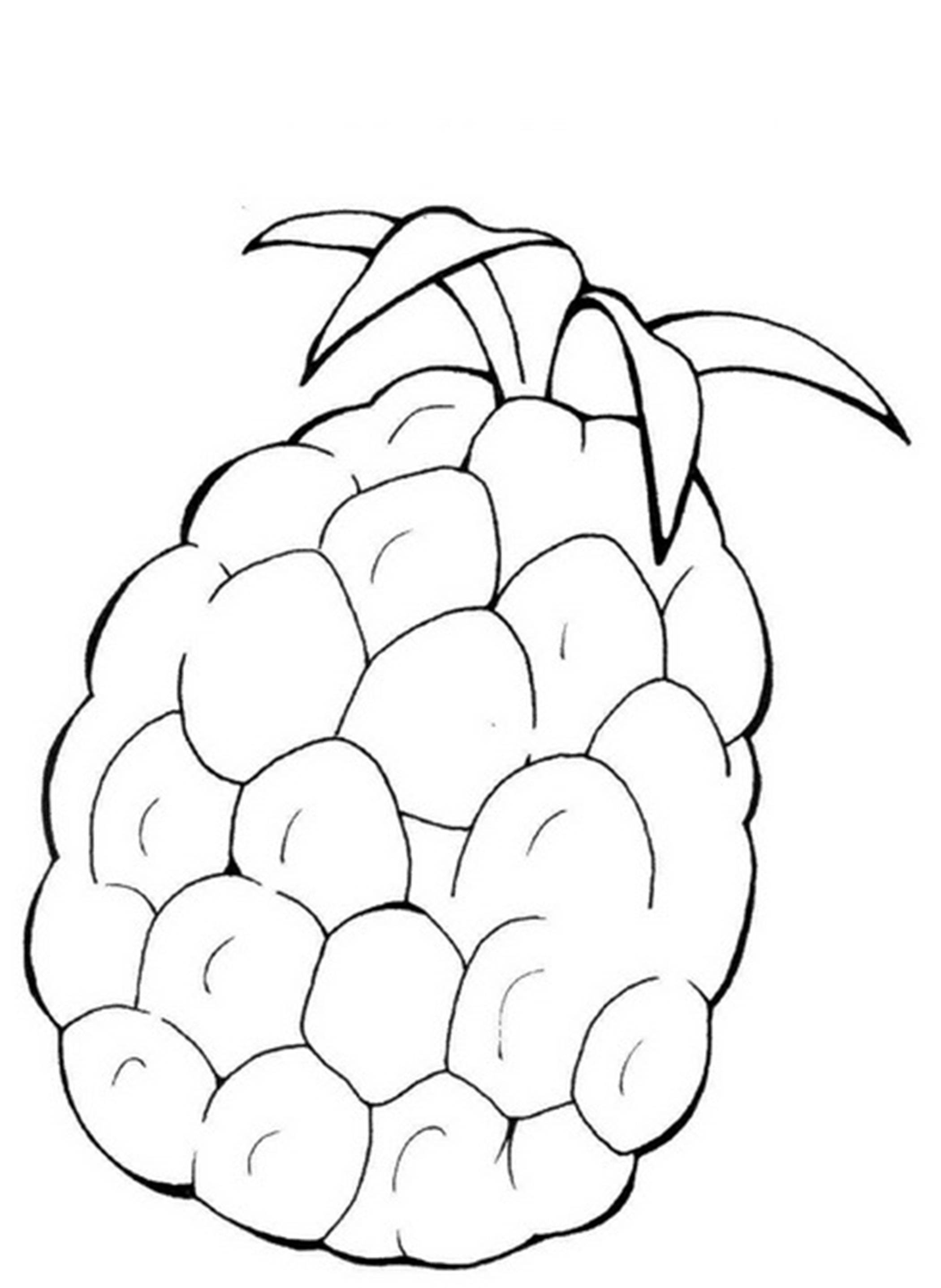 Название: Раскраска Ананас. Категория: фрукты. Теги: ананас.