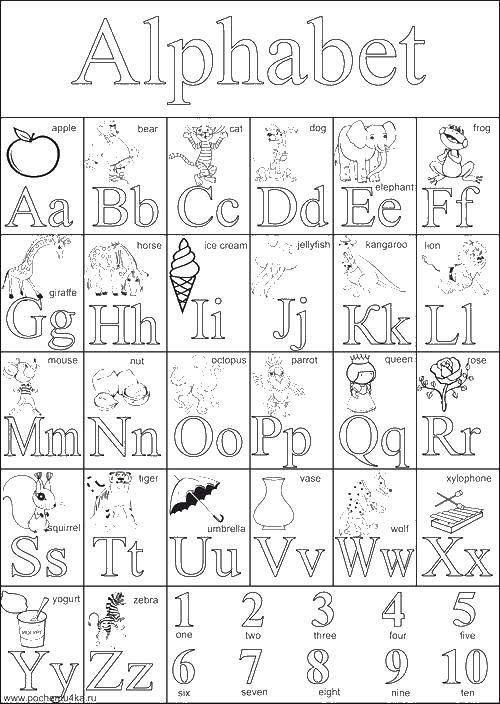 Coloring English alphabet with pictures. Category English. Tags:  alphabet, English.