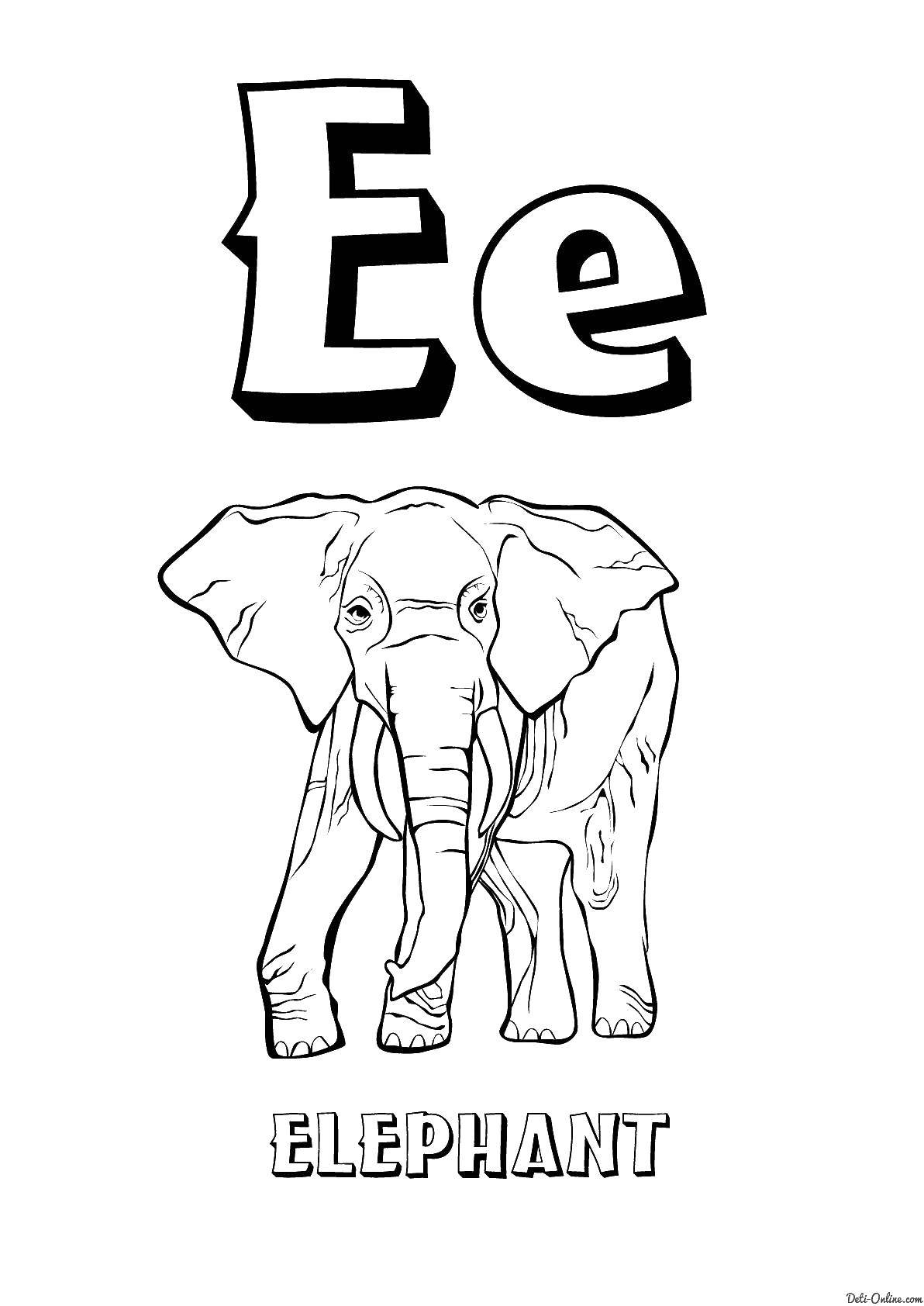 Coloring English alphabet. Category English. Tags:  The alphabet, letters, words.