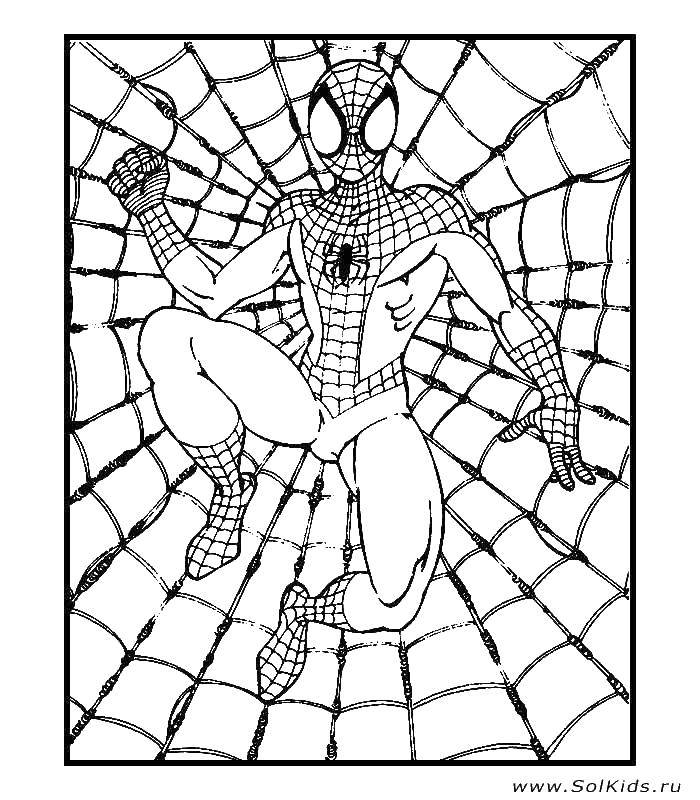Название: Раскраска Человек паук. Категория: раскраски. Теги: Человек, паук, паутина.