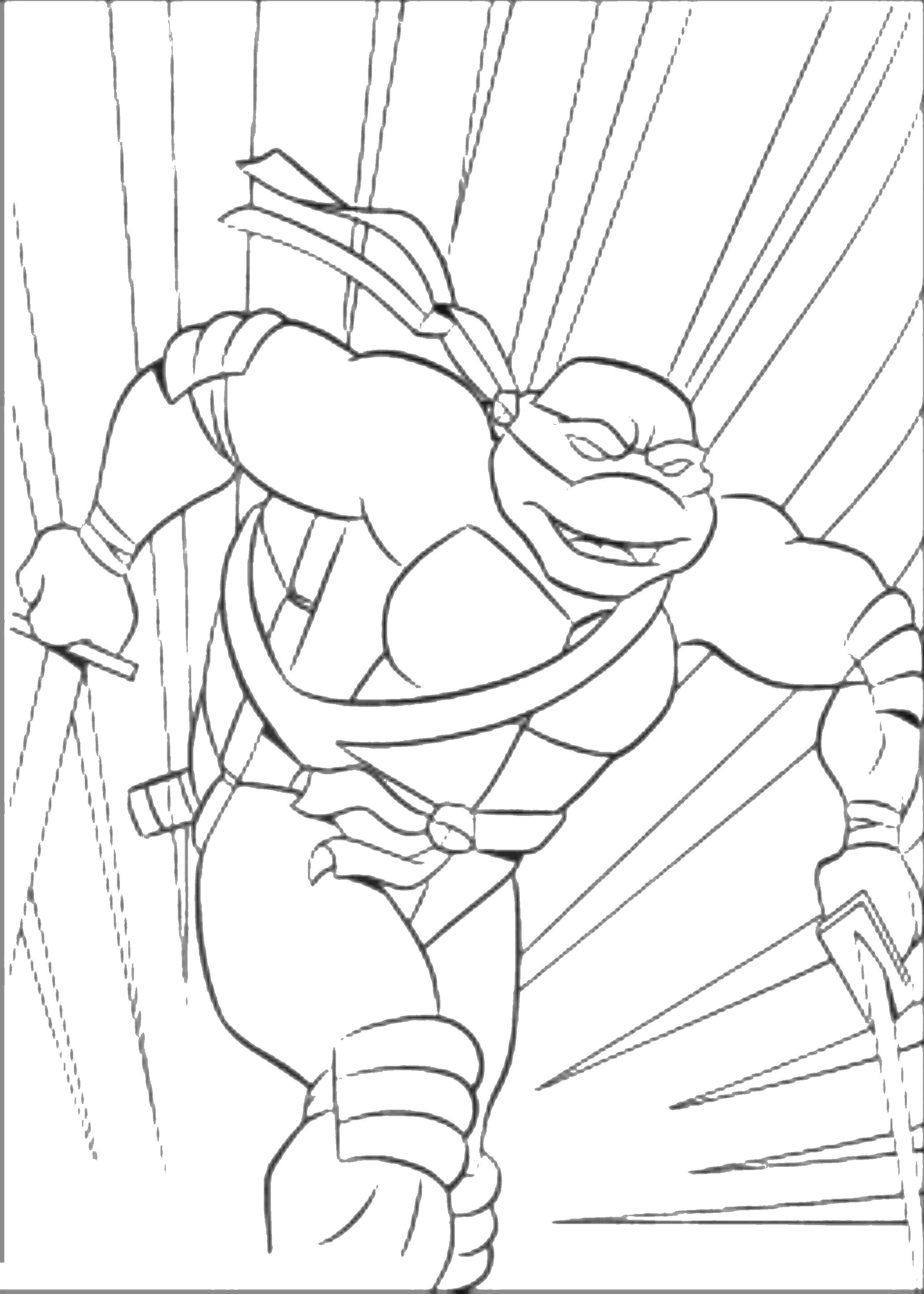 Coloring Teenage mutant ninja turtles. Category Cartoon character. Tags:  cartoons, chareuski, Ninja.