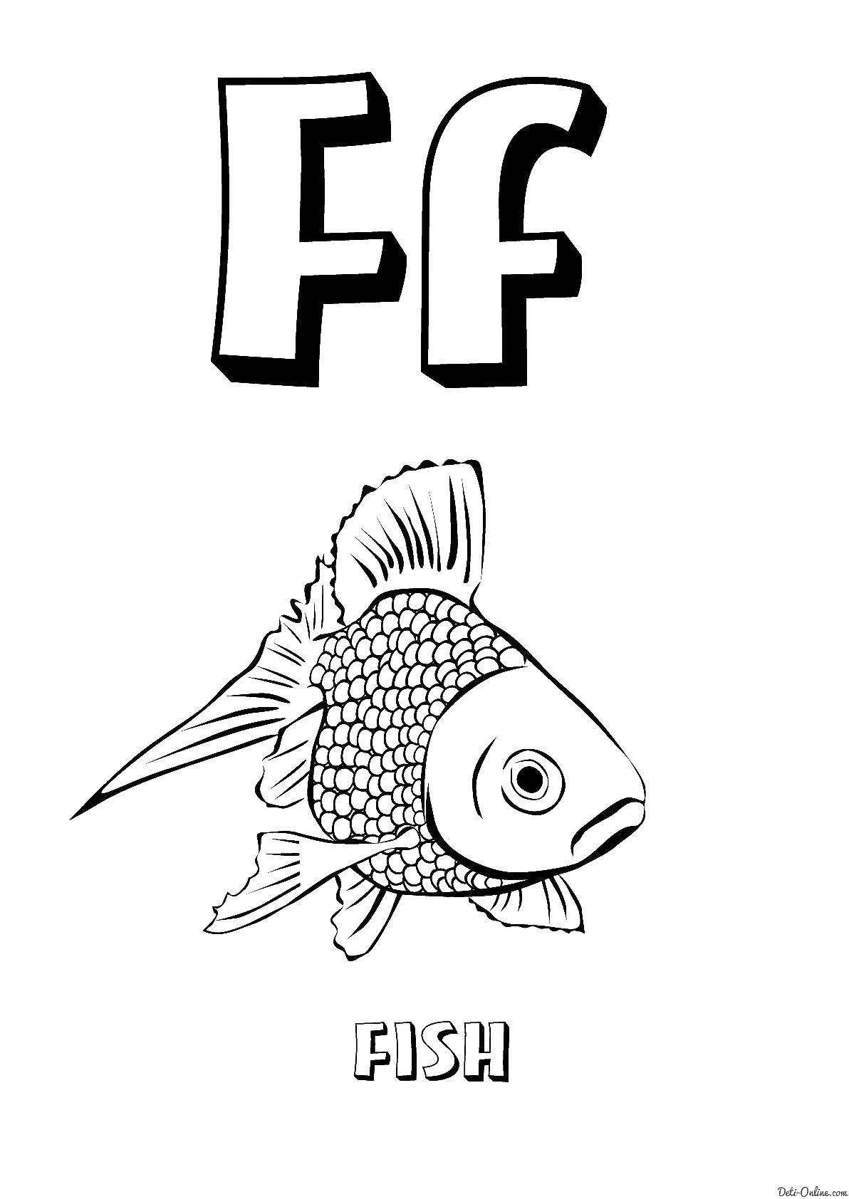 Название: Раскраска Letter f. Категория: Английский. Теги: letter F, fish.