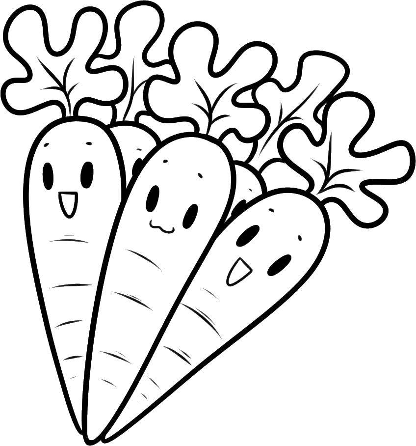 Название: Раскраска Морковь. Категория: овощи. Теги: морковь.
