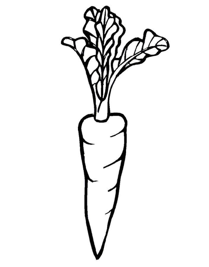 Coloring Carrots. Category vegetables. Tags:  carrots.