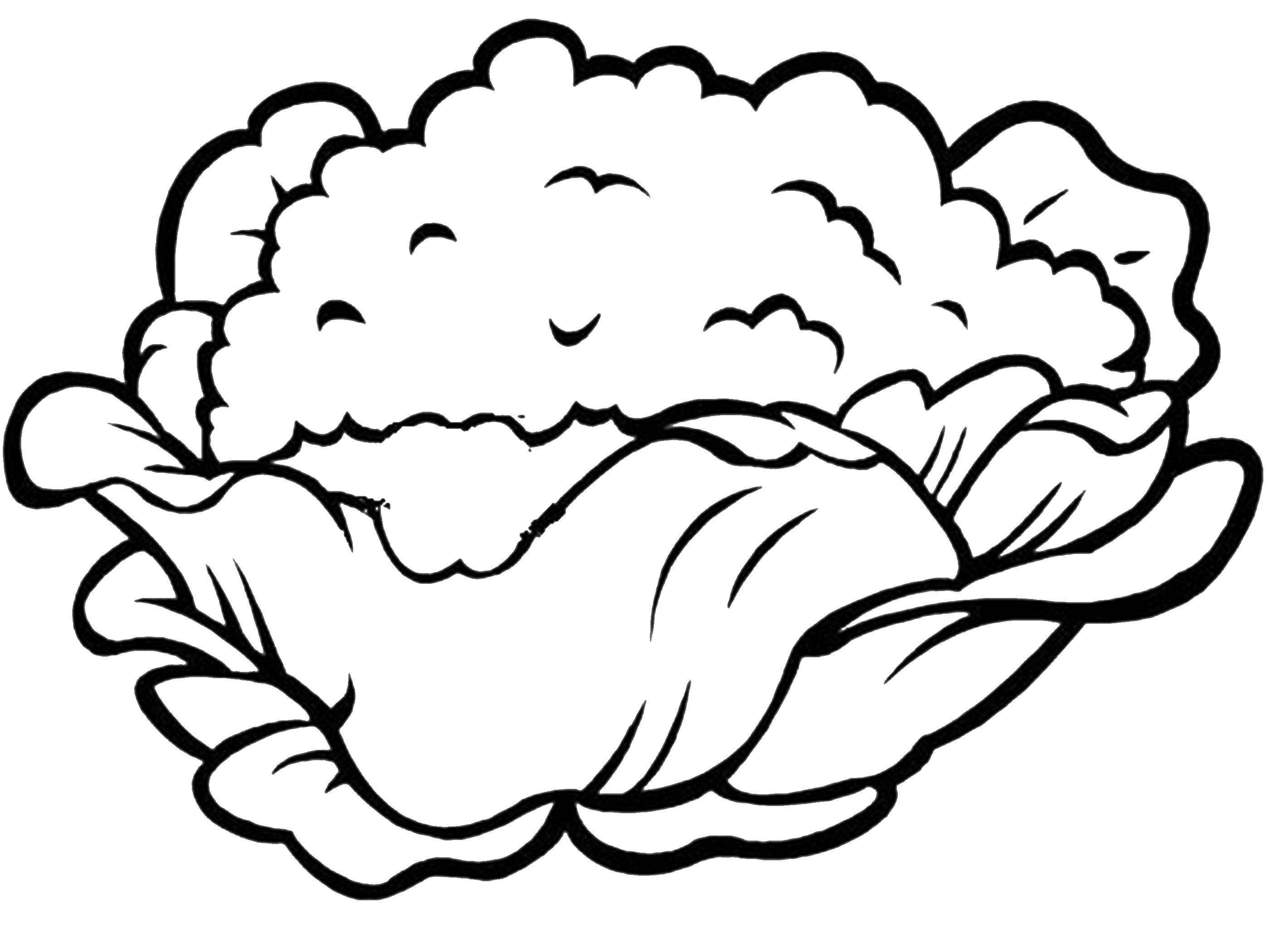 Coloring Cauliflower. Category vegetables. Tags:  cabbage.