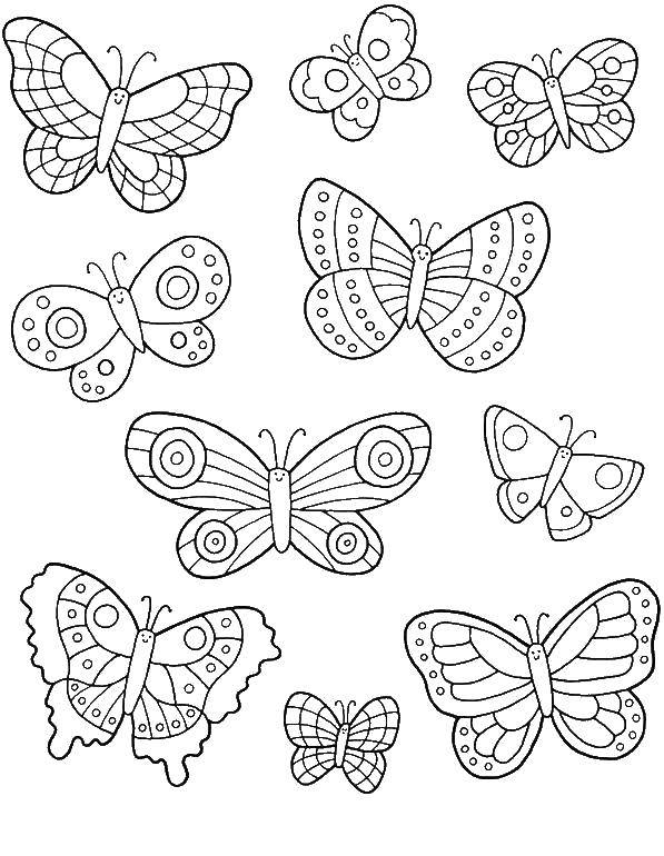 Название: Раскраска Бабочка с узорами. Категория: бабочки. Теги: Бабочка.