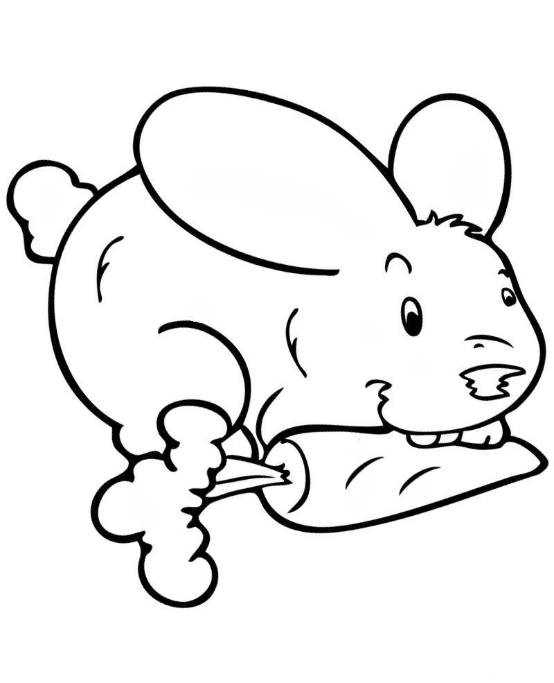 Coloring A mouse with a carrot. Category Animals. Tags:  mouse.