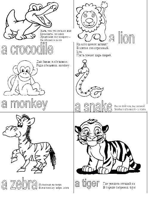 Coloring The names of animals in English. Category English. Tags:  The alphabet, letters.