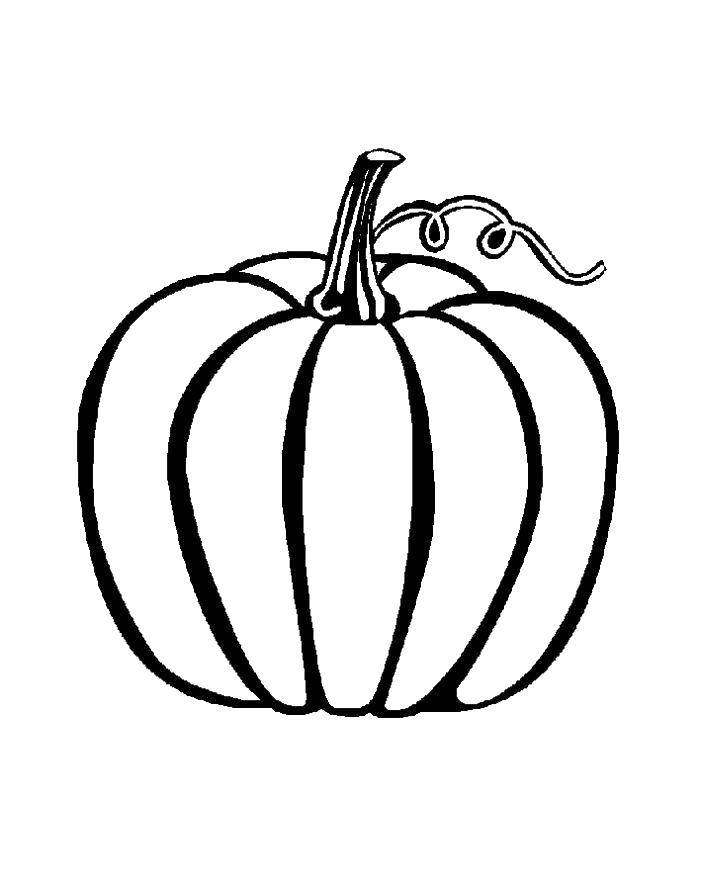 Coloring Pumpkin. Category vegetables. Tags:  pumpkin.