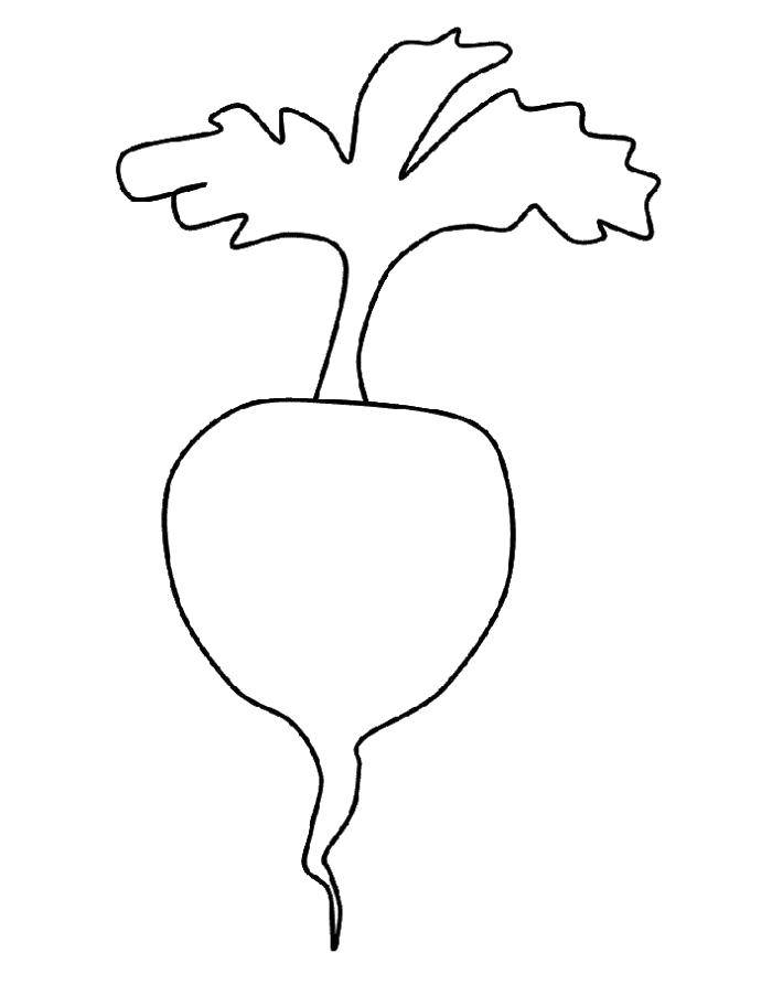 Coloring The contour of the radish. Category vegetables. Tags:  , radish, .