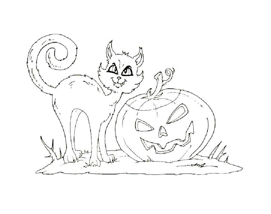Название: Раскраска Кошка и тыква. Категория: Хэллоуин. Теги: Хэллоуин, кошка.