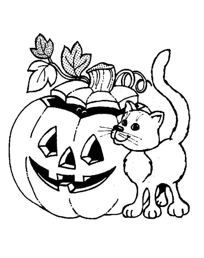 Название: Раскраска Кот с тыквой. Категория: Хэллоуин. Теги: Хэллоуин, кот, тыква.