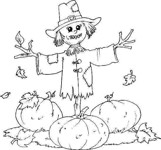 Coloring Scarecrow and pumpkins. Category Halloween. Tags:  Halloween, Scarecrow, pumpkin.