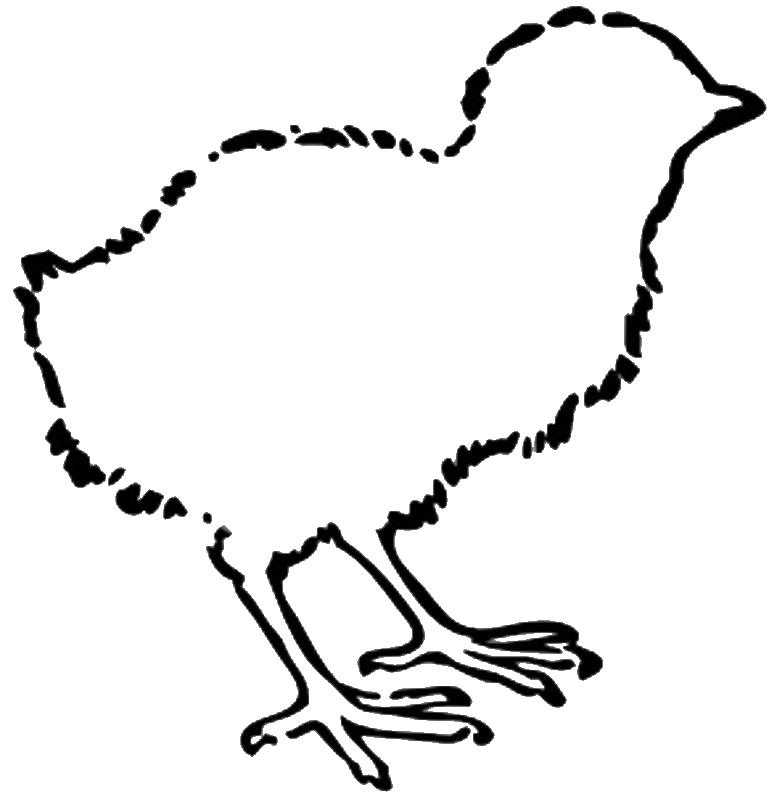 Название: Раскраска Цыпленок. Категория: Контуры для вырезания птиц. Теги: цыпленок.