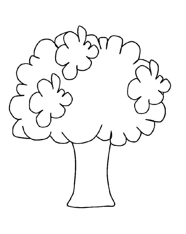 Coloring Tree. Category Nature. Tags:  tree.