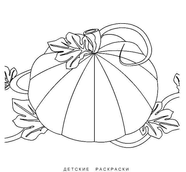 Coloring Pumpkin on Halloween. Category Halloween. Tags:  pumpkin, Halloween.