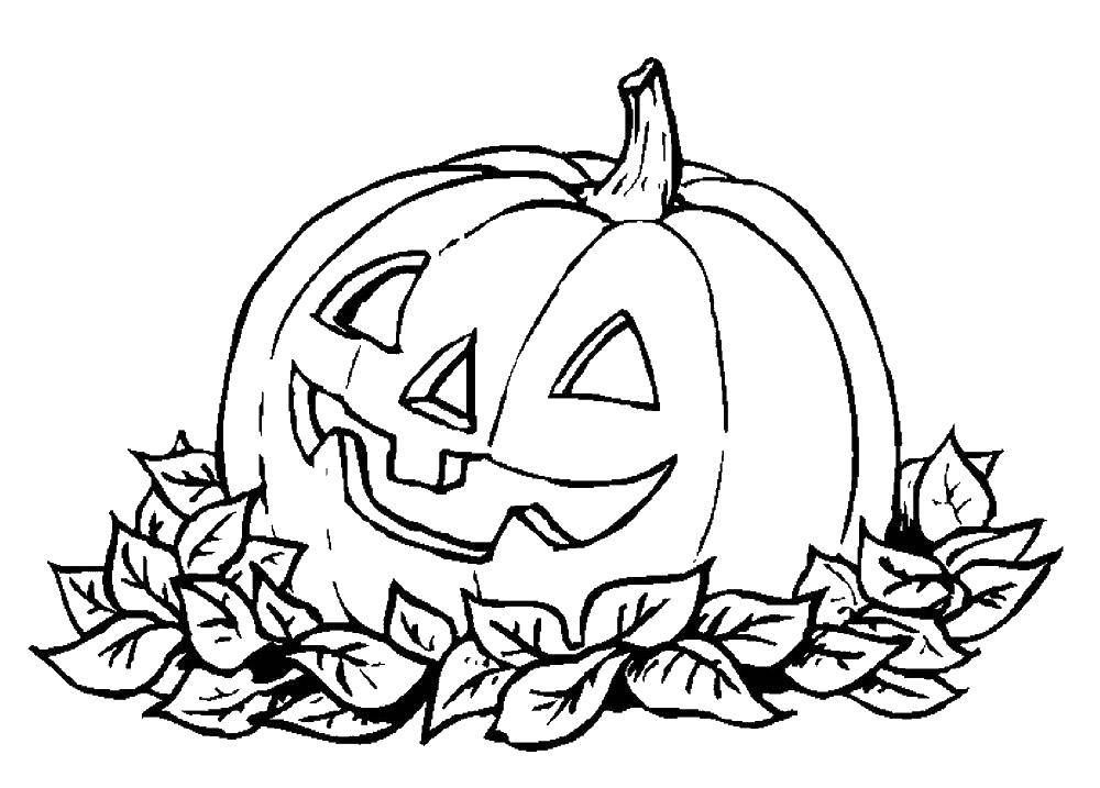 Название: Раскраска Тыква в листьях. Категория: Хэллоуин. Теги: Хэллоуин, тыква.