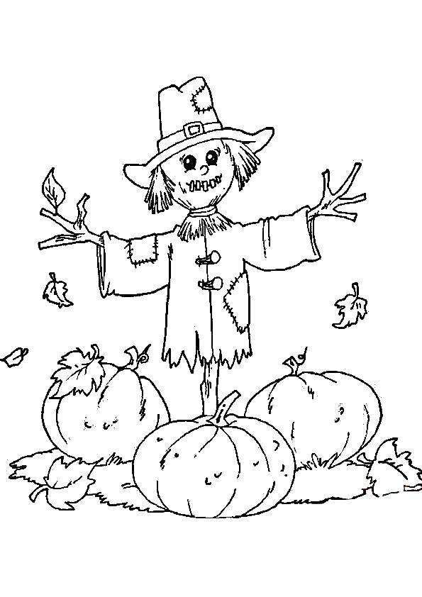 Coloring Scarecrow. Category Halloween. Tags:  Scarecrow, Halloween.