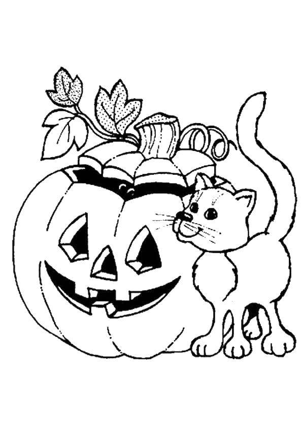 Название: Раскраска Страшная тыква и кот. Категория: Хэллоуин. Теги: Хэллоуин.
