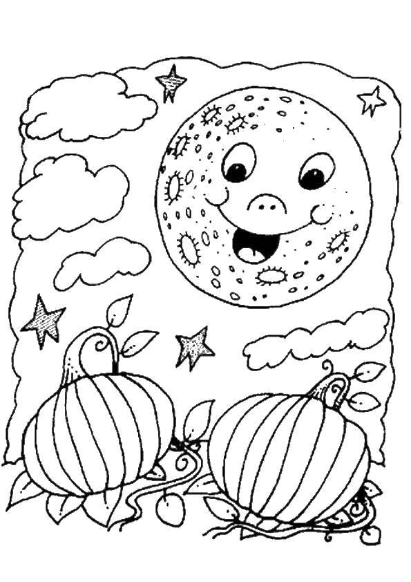 Coloring Pumpkin on Halloween. Category Halloween. Tags:  pumpkin, Halloween.