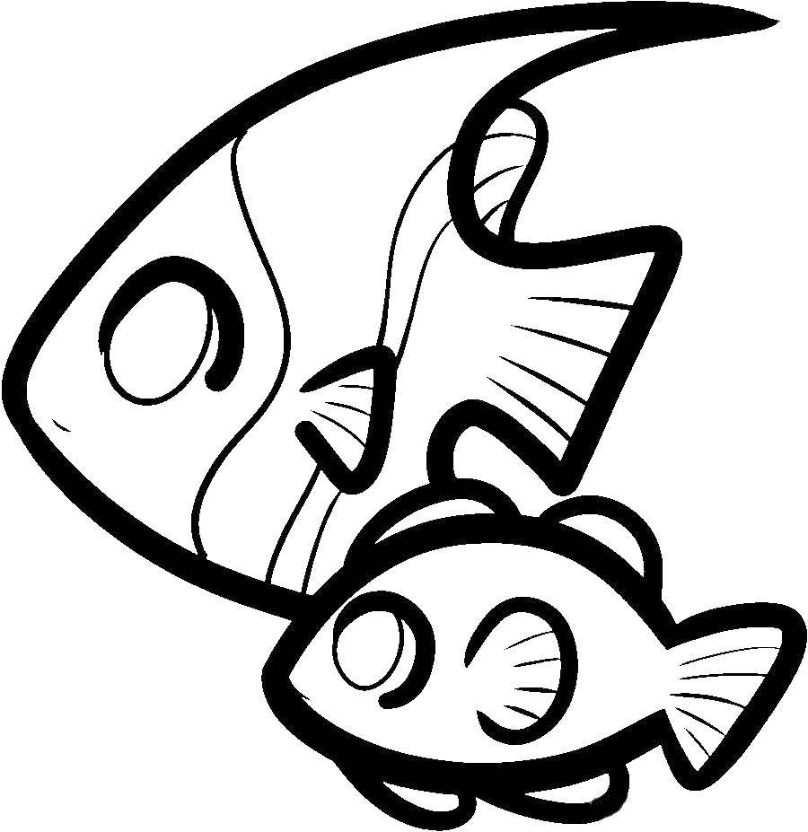 Coloring Mother fish with baby. Category animals cubs . Tags:  Cub, fish.
