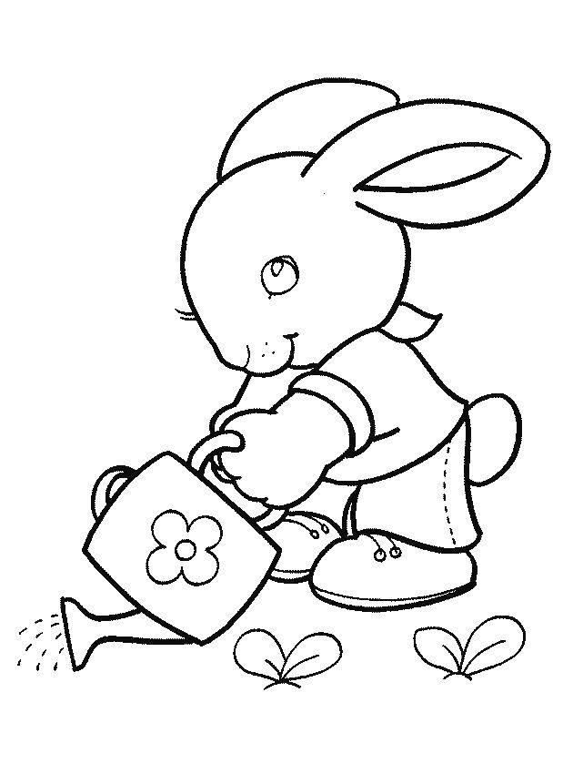Coloring Rabbit watering flowers. Category Coloring pages for kids. Tags:  rabbit, watering can.