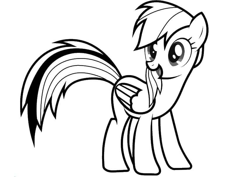 Название: Раскраска Мой маленький  пони  радуга. Категория: мой маленький пони. Теги: пони, единорог.