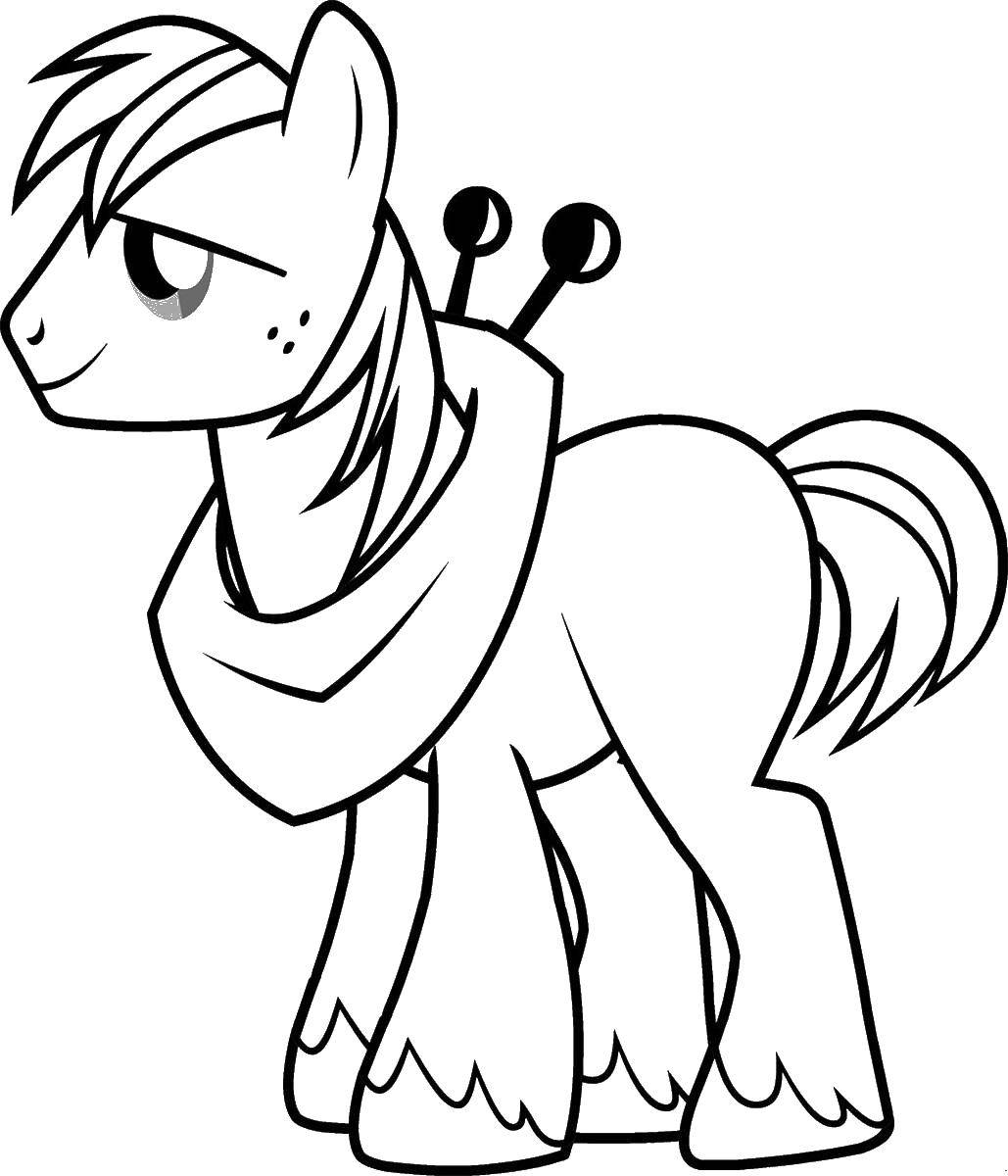 Coloring The brother of Apple Jack. Category Ponies. Tags:  Apple Jack, pony.