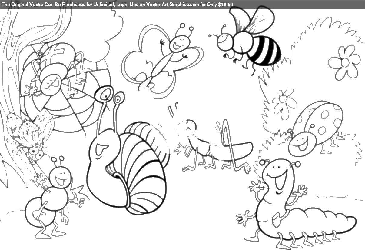 Coloring Garden with insects. Category Insects. Tags:  Insects.