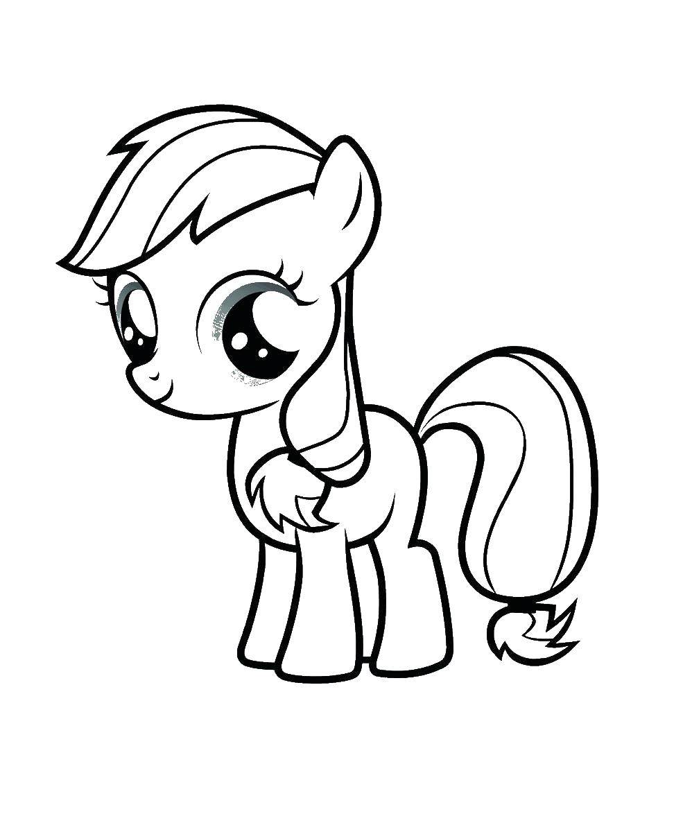 Название: Раскраска Пони из my little pony. Категория: мой маленький пони. Теги: Пони, "My little pony".