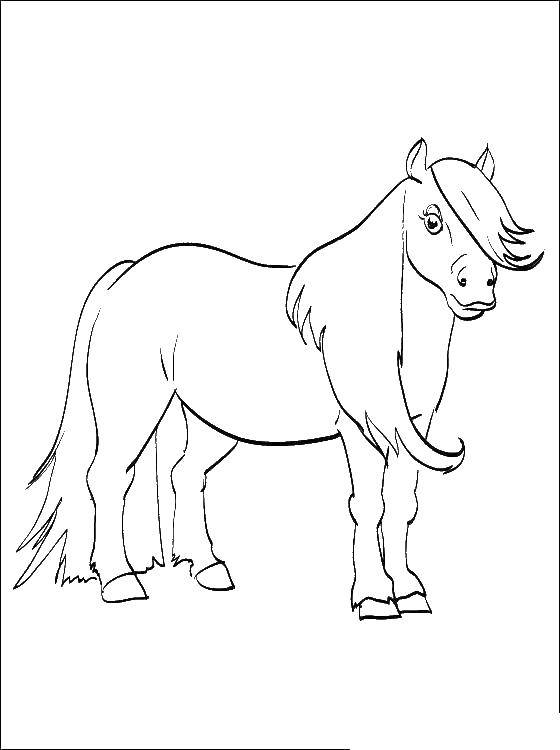 Coloring Pony. Category Ponies. Tags:  Ponies.