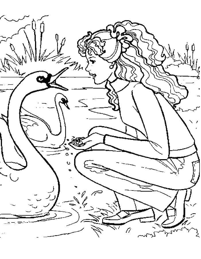 Coloring Barbie and the Swan. Category Barbie . Tags:  Barbie , lake, swans.