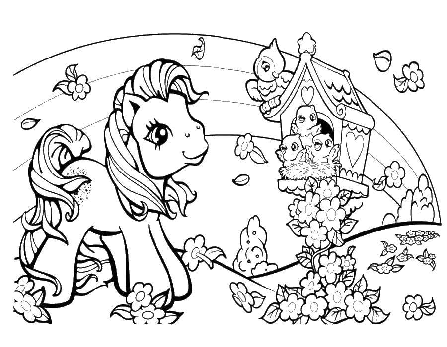 Coloring Pony and birdhouse. Category Ponies. Tags:  Ponies.