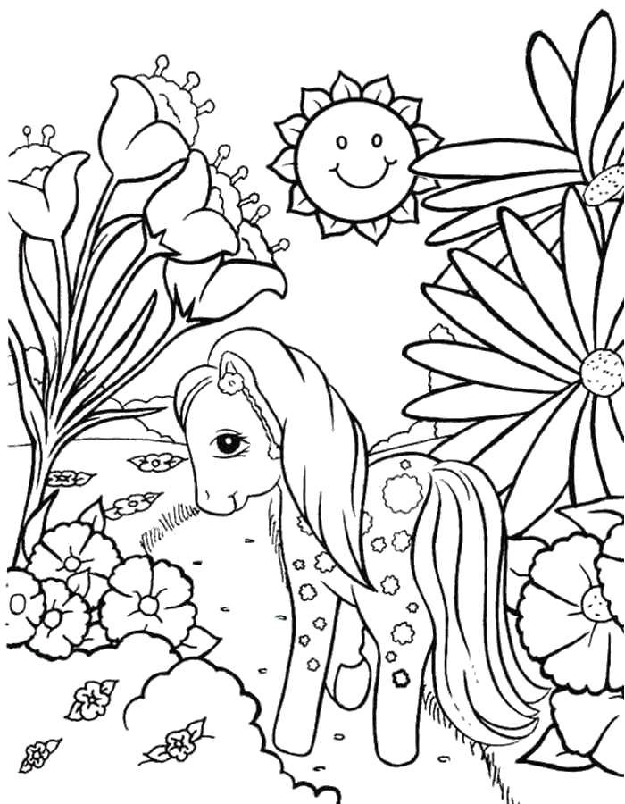 Coloring Pony among the flowers. Category Ponies. Tags:  Pony, My little pony.