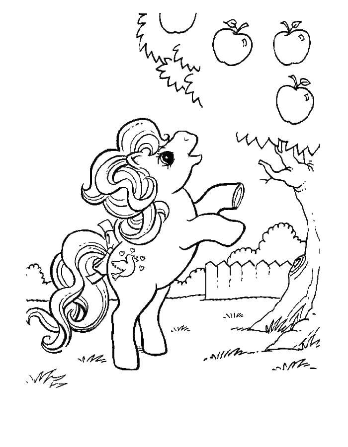 Название: Раскраска Поняшка хочет яблочко. Категория: Пони. Теги: Пони, "My little pony".