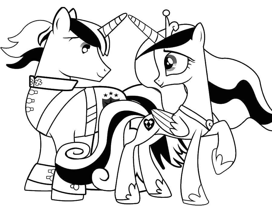 Название: Раскраска Принцесса каденс и шайнинг армор. Категория: мой маленький пони. Теги: пони, Каденс, Армор.