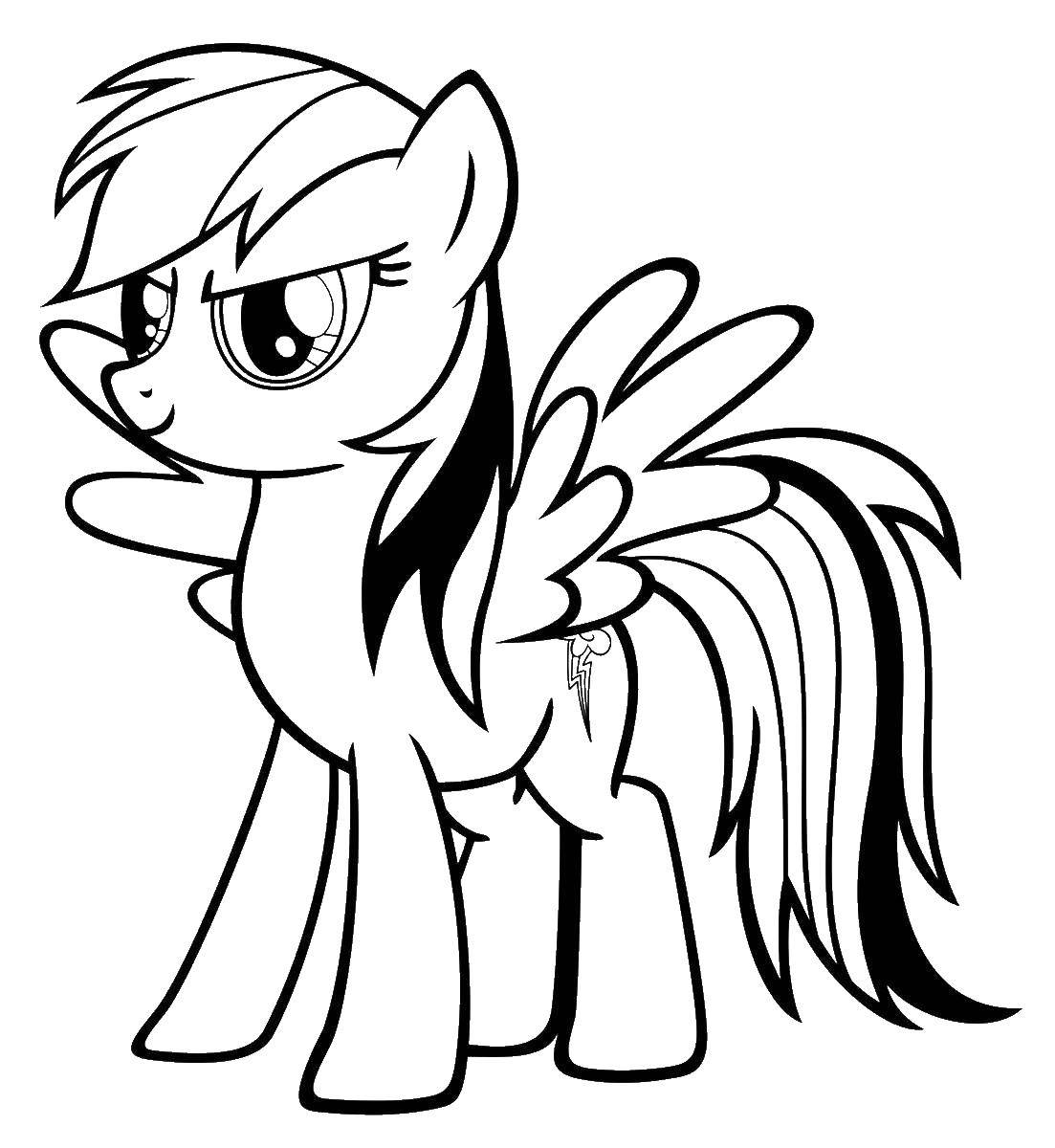 Название: Раскраска Пони из my little pony. Категория: мой маленький пони. Теги: Пони, "My little pony".