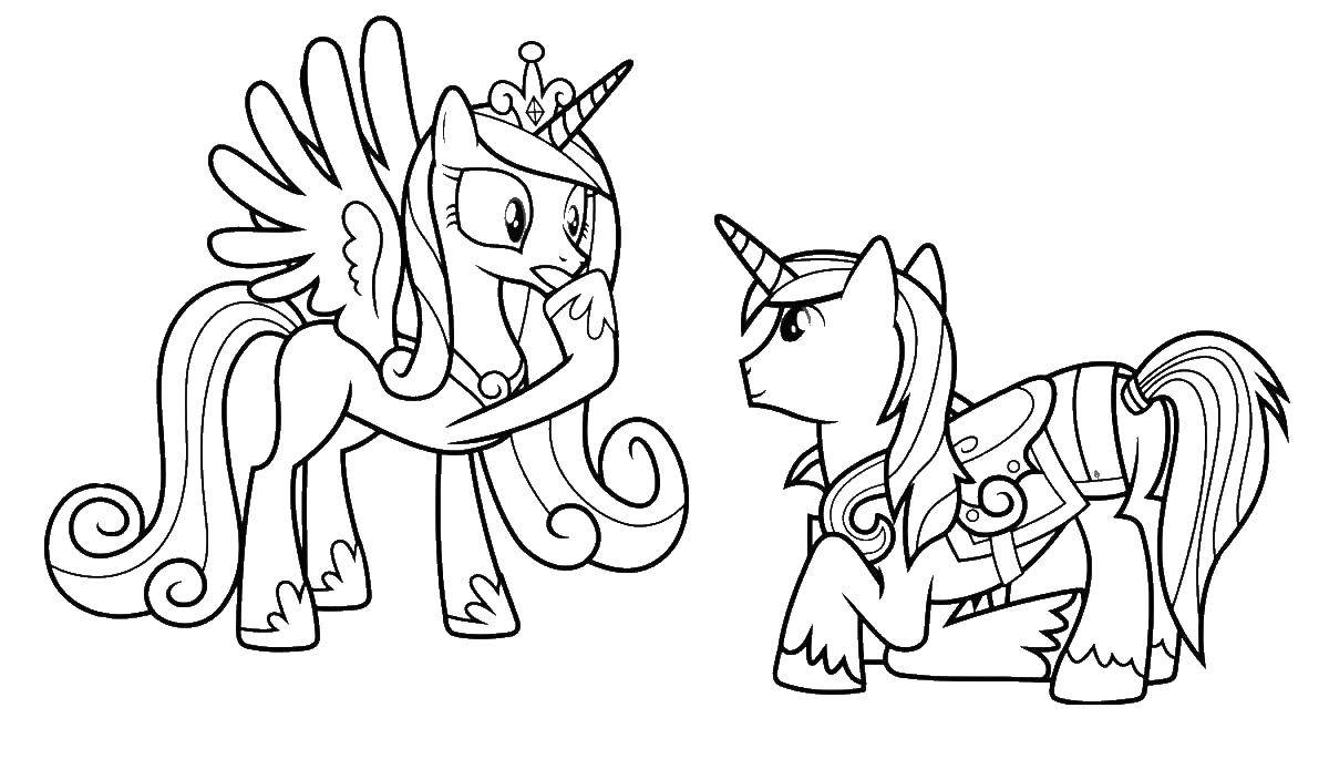 Название: Раскраска Принцесса каденс и шайнинг армор. Категория: мой маленький пони. Теги: Принцесса Каденс, Шайнинг Армор.