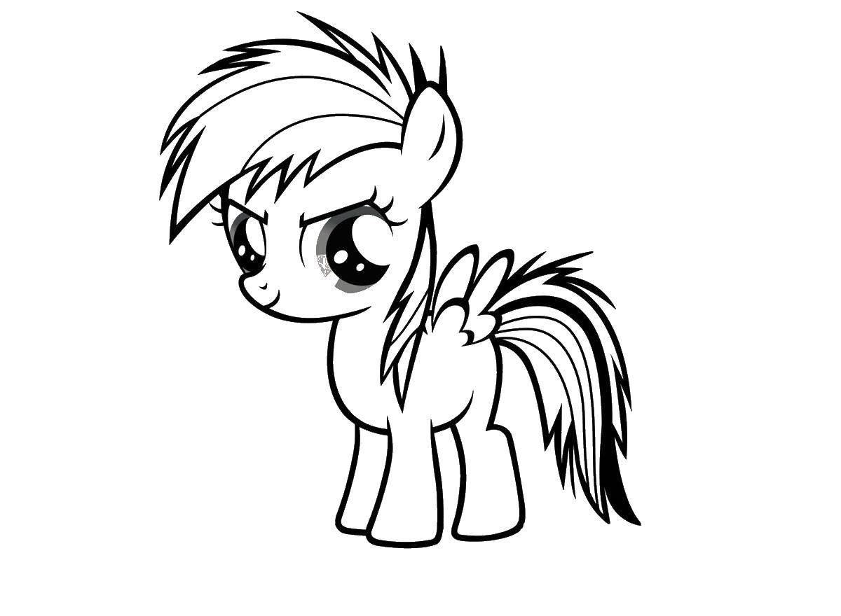 Coloring Scootaloo. Category my little pony. Tags:  ponies, scootaloo.