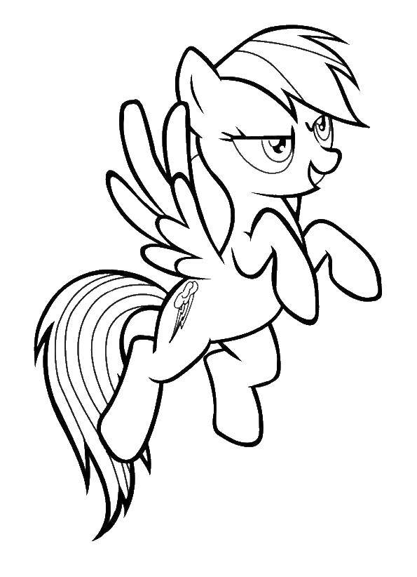 Название: Раскраска Смелая пони. Категория: мой маленький пони. Теги: Пони, "My little pony".
