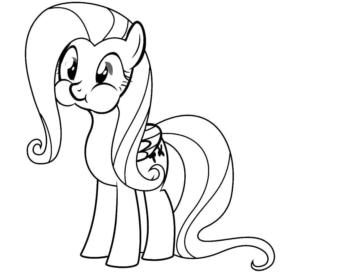 Coloring Pony chews. Category Ponies. Tags:  Pony, My little pony.