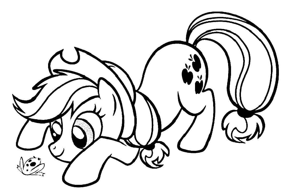 Название: Раскраска Пони заинтересовал лягушонок. Категория: мой маленький пони. Теги: Пони, "My little pony".